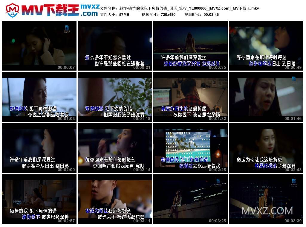 赵洋-痴情的我犯下痴情的错_国语_流行_YE800800